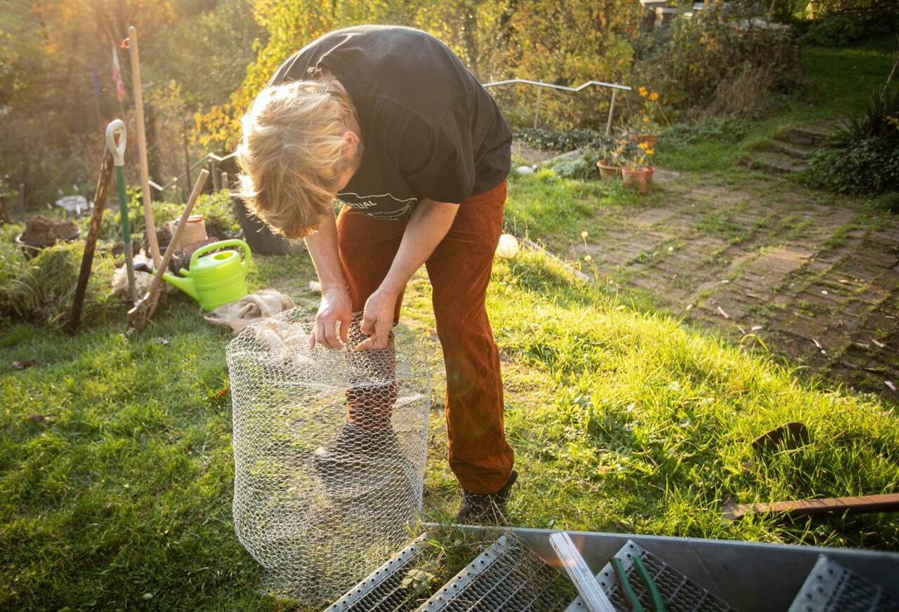 Wie pflanzt man einen Obstbaum? go plant a tree!